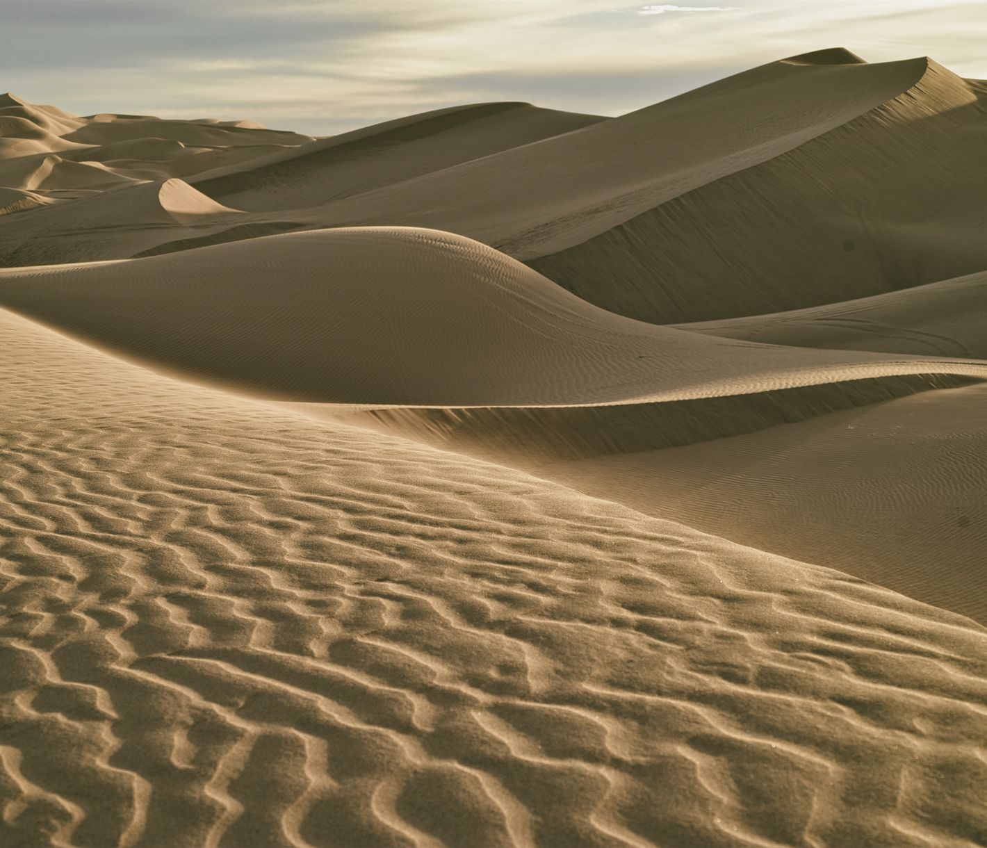 Die Imperial Sand Dunes sind ein Spielplatz für Geländewagenfahrten.