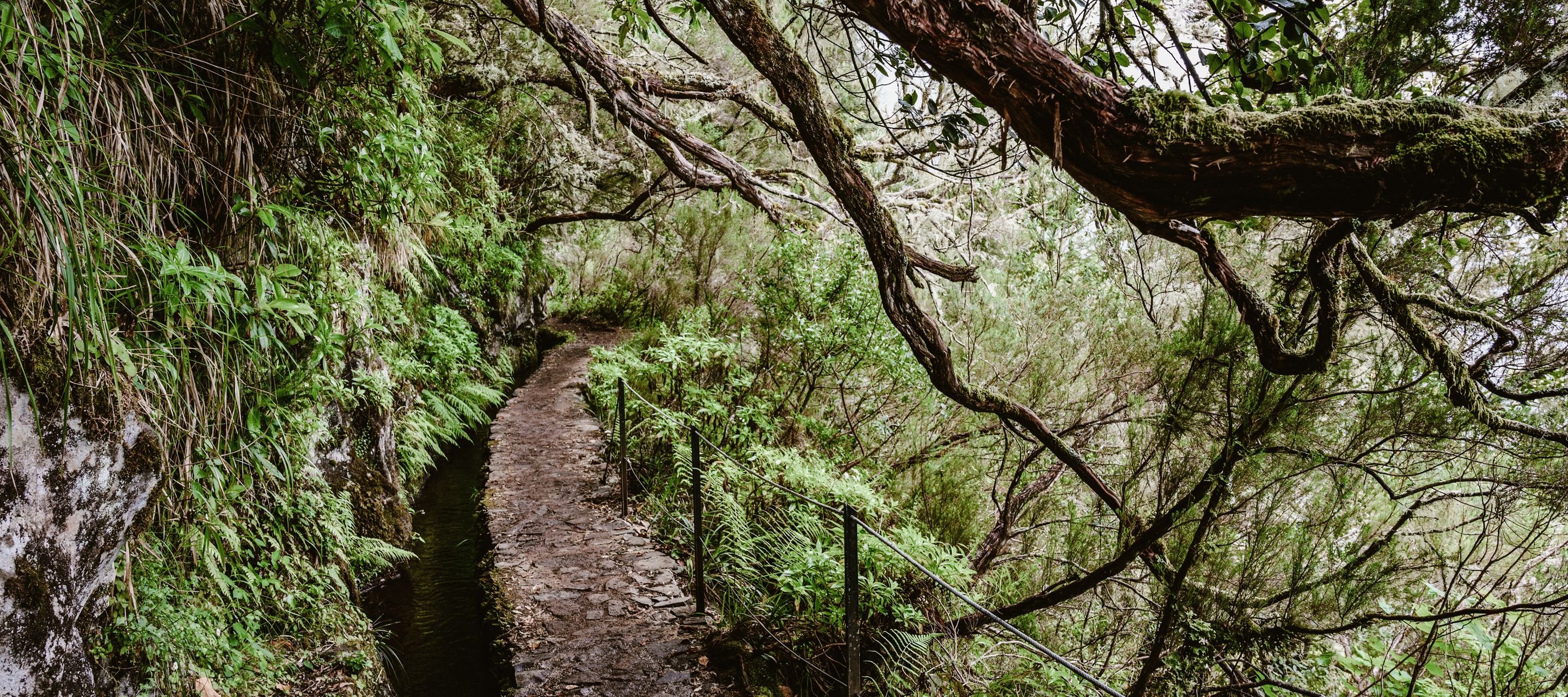 Die Levada do Caldeirão Verde