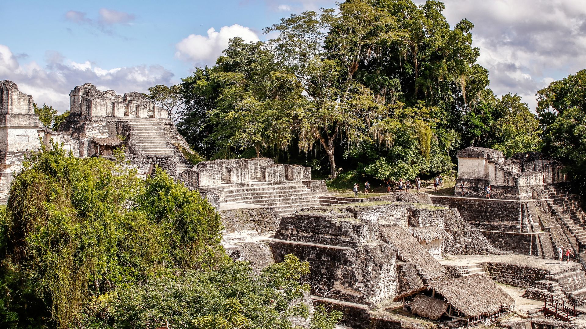 Tikal : la puissance du règne maya dans toute sa splendeur !