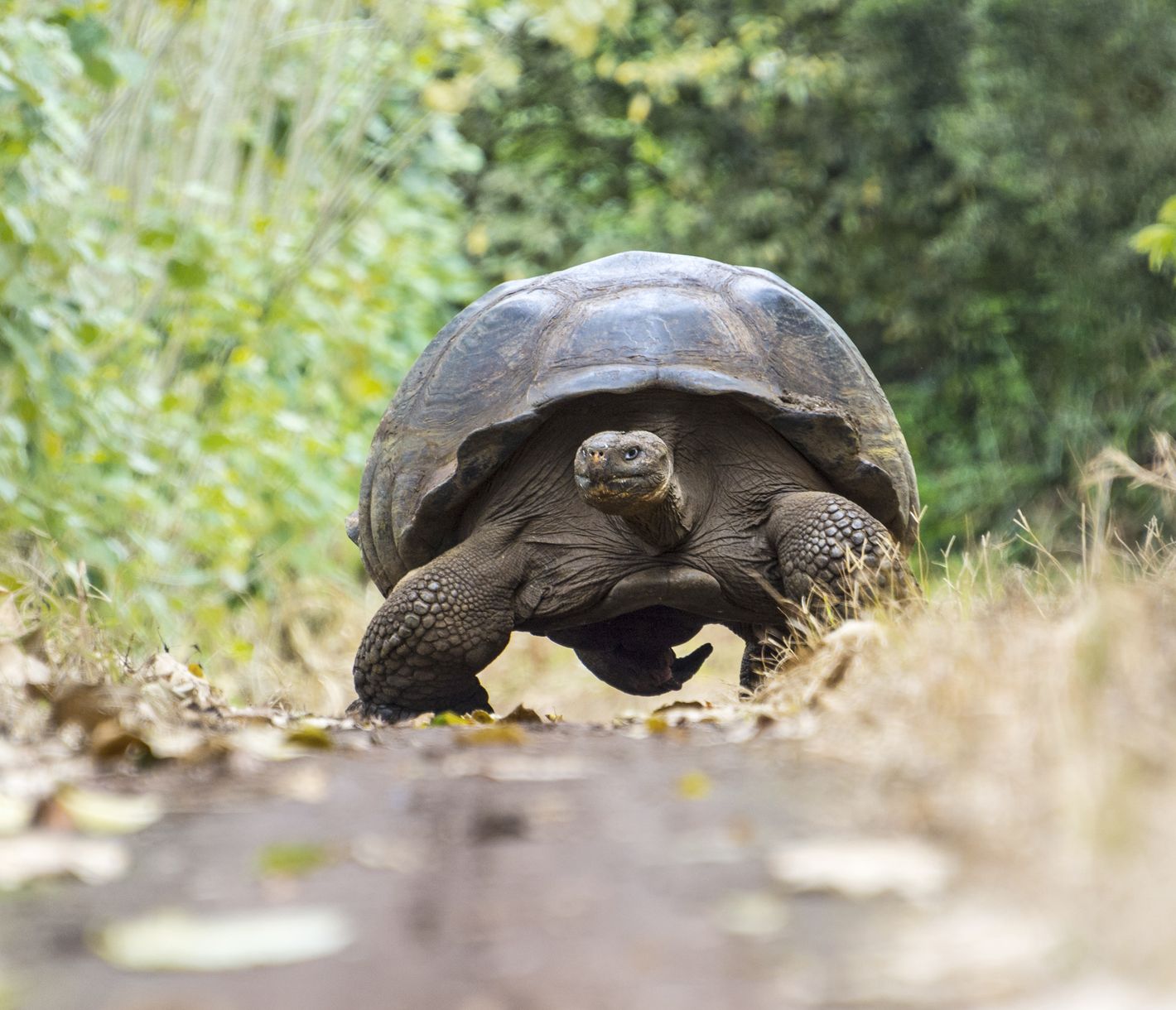 Der Tierwelt hautnah.