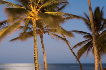 20. Bild der Unterkunft