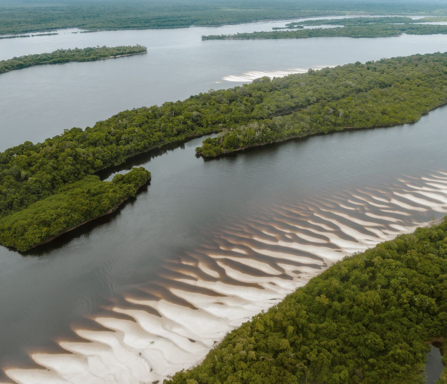 Der Anavilhanas-Archipel