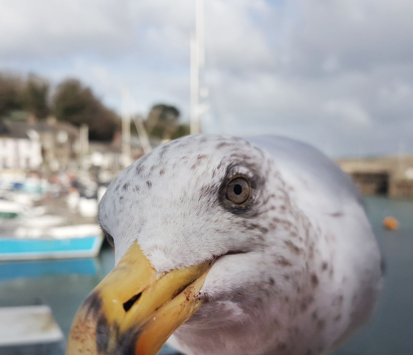 Gibt es da was zu essen?