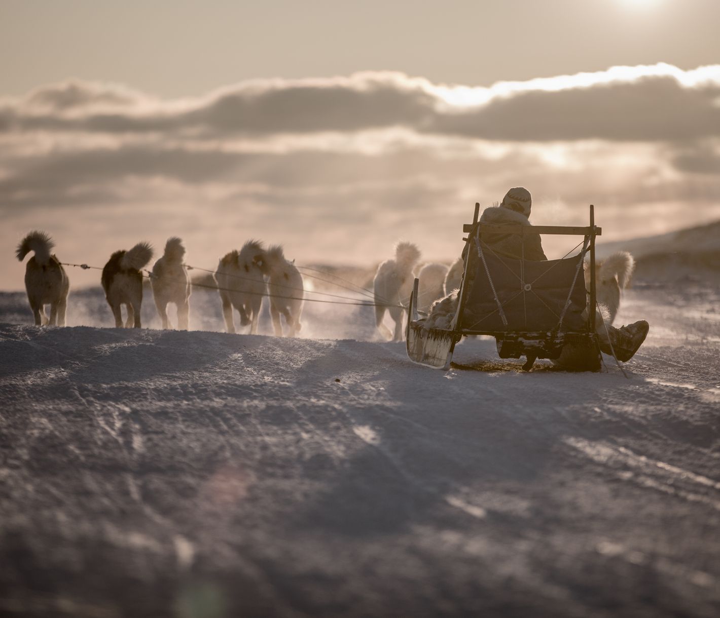Ziehen Sie sich warm an für die Huskysafari!
