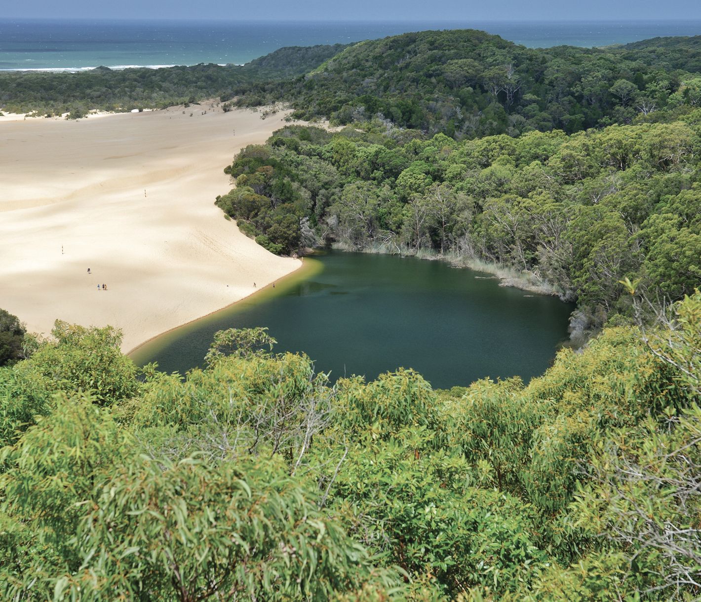 Eine aussergewöhnliche Insel