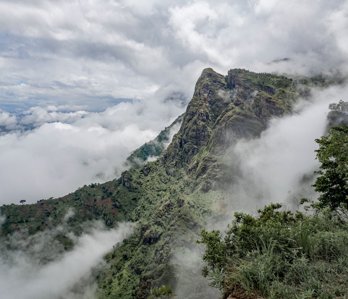Fantastische Weitsicht beim Irente-Aussichtspunkt in den Usumbara-Bergen