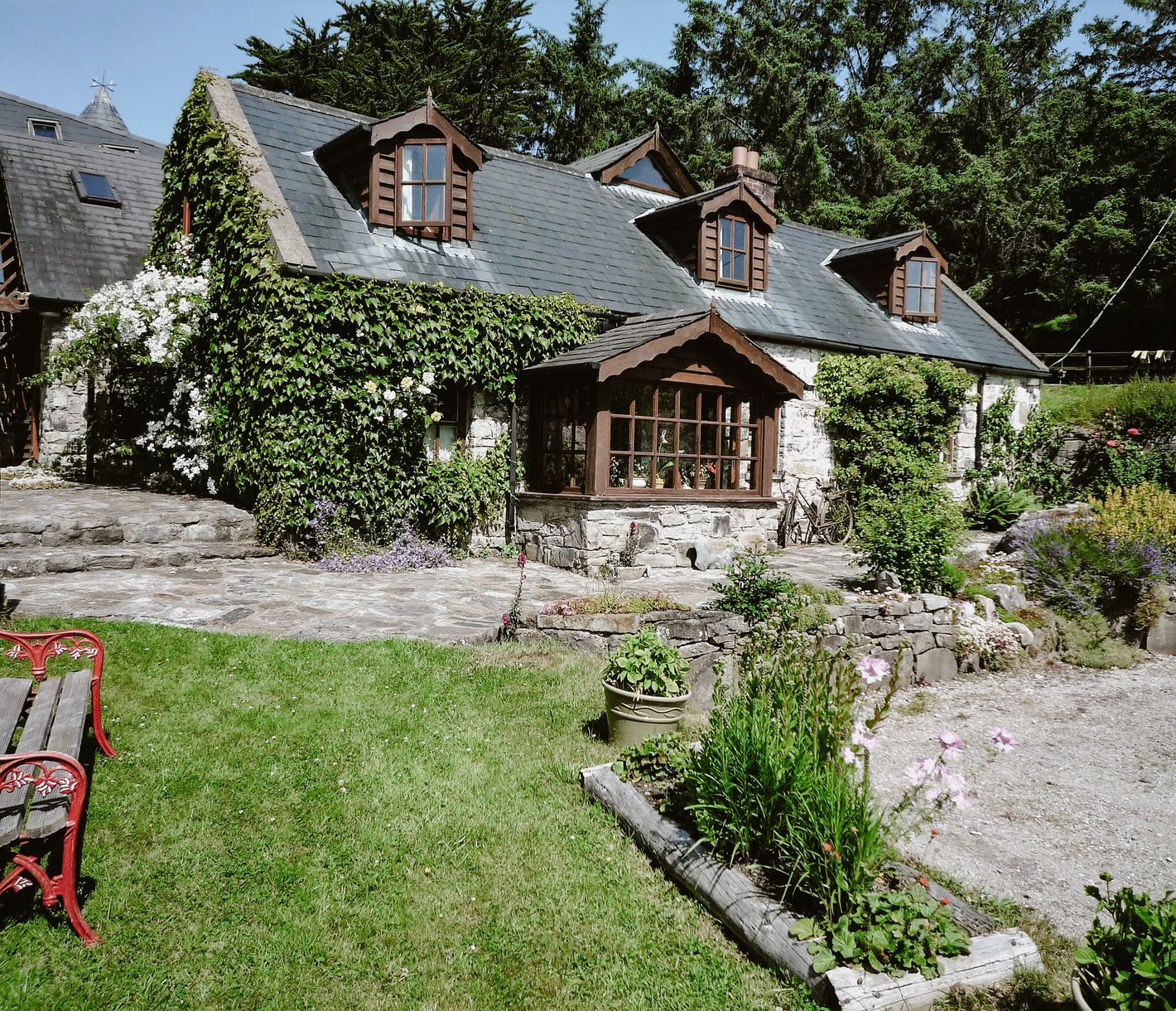 Gestüt im Westen Irlands