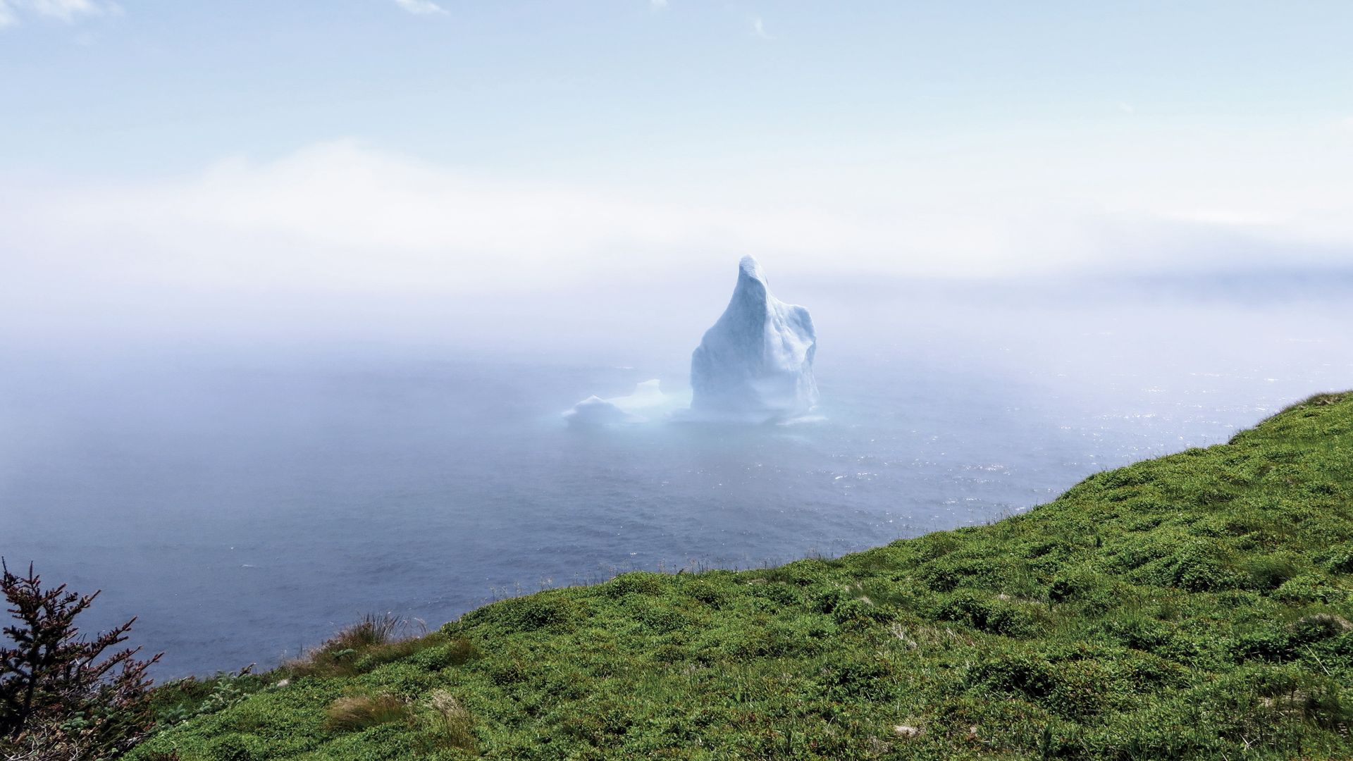 Eindrücklicher Eisberg vor der schroffen Küsten Neufundlands