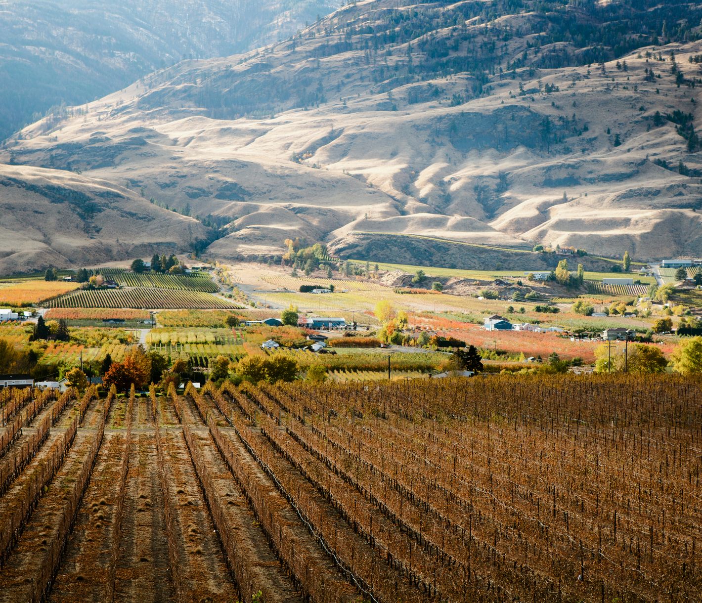 Das Top-Weingebiet British Columbias