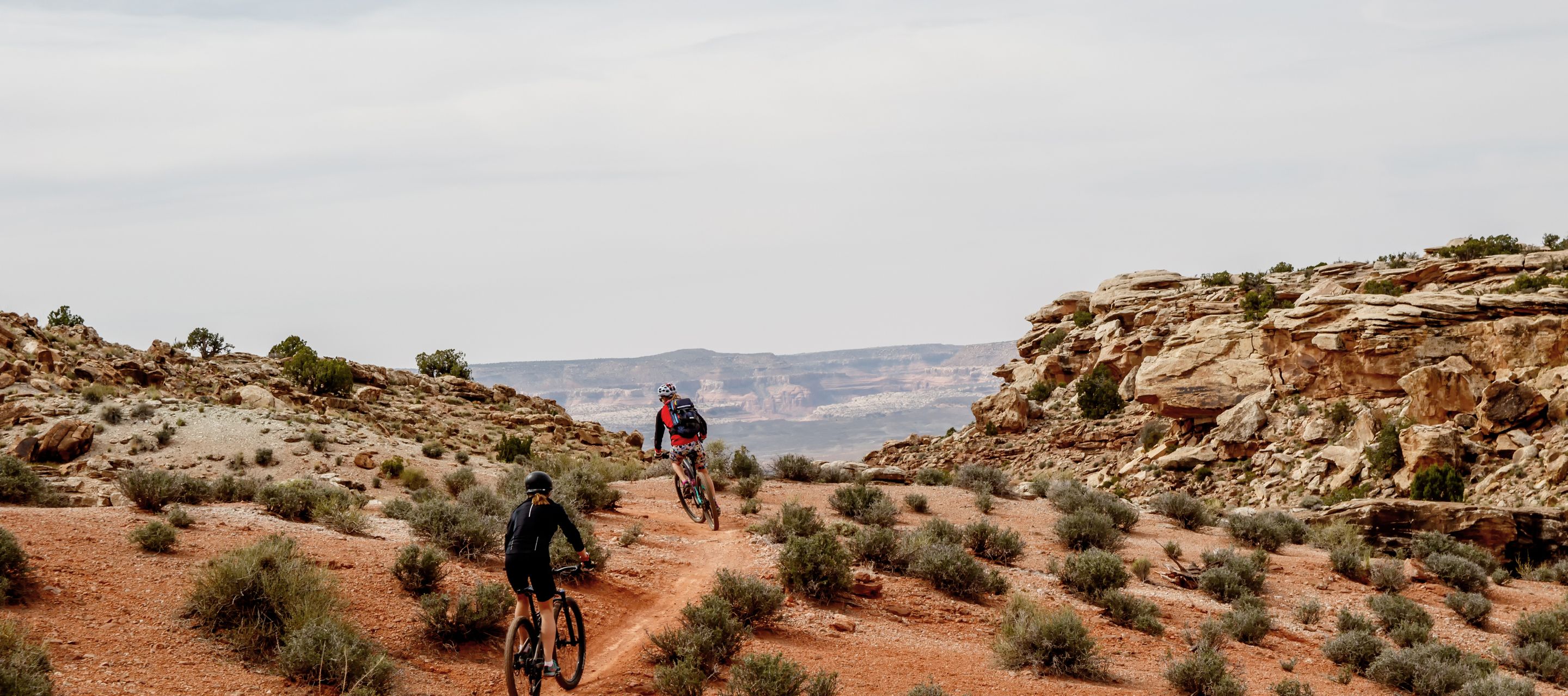 Slickrock Bike Trail dans le désert près de Moab