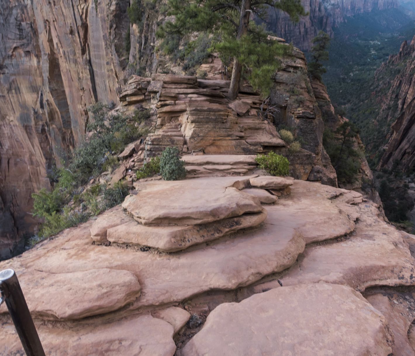 Angels Landing ist der Klassiker unter den Wanderungen im Zion National Park.