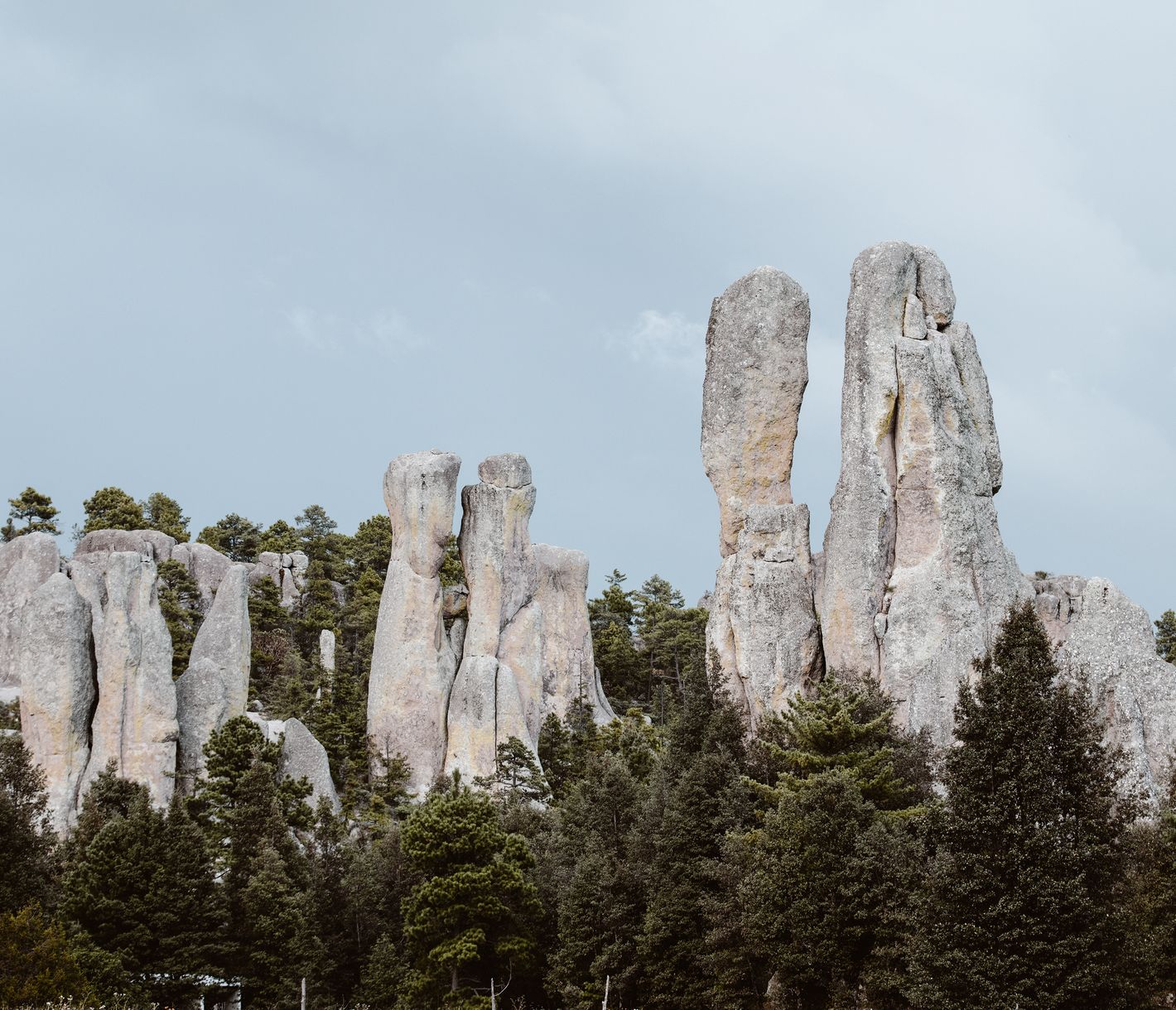 Wenn die Mönche stillstehen