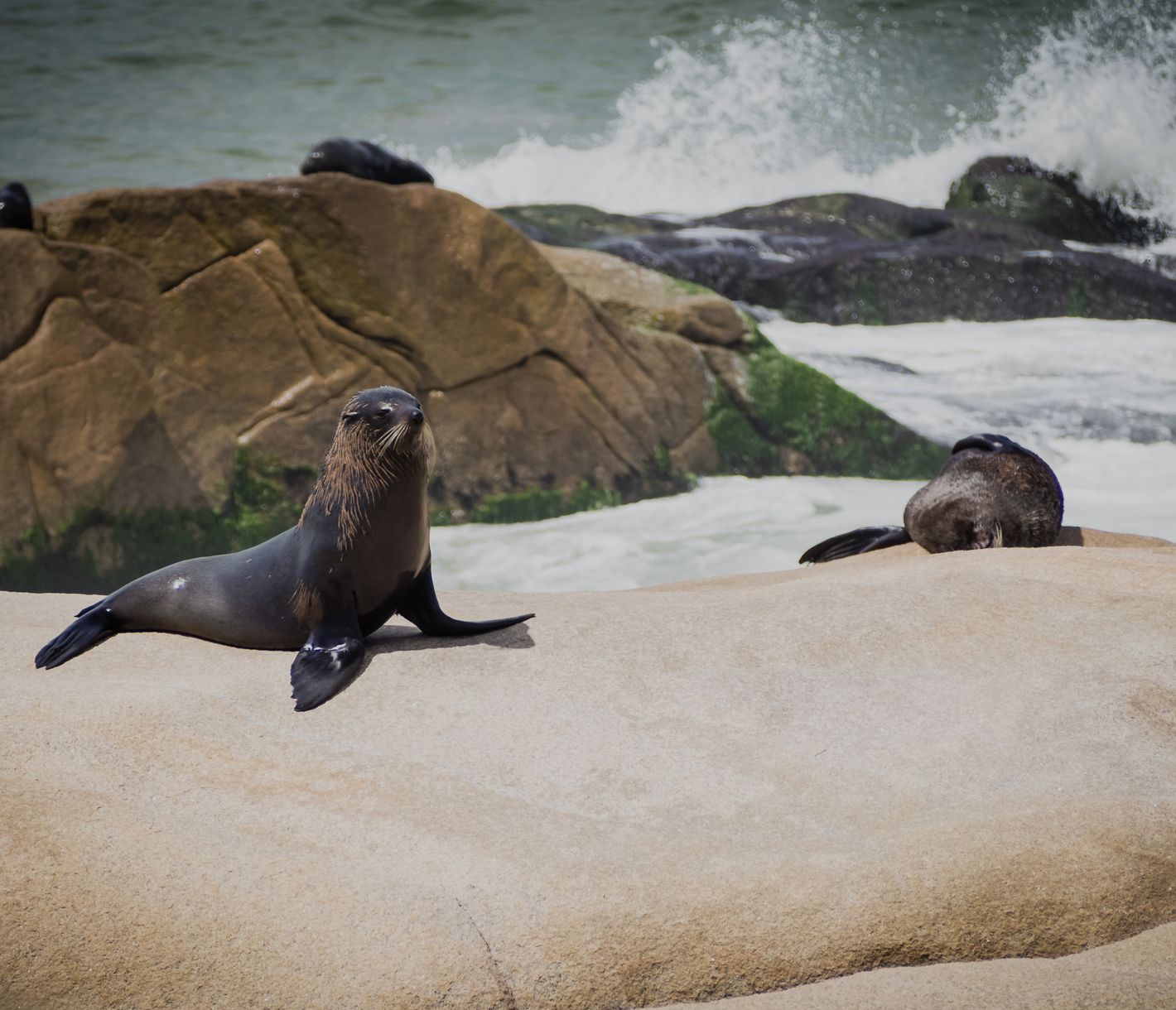 Wer ist hier der Boss?