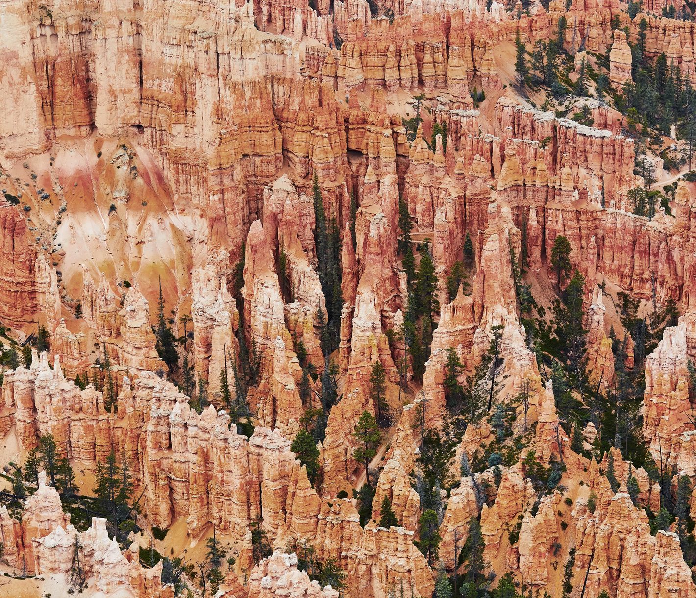 Felsnadeln in verschiedenen Rottönen machen diesen Canyon einmalig.
