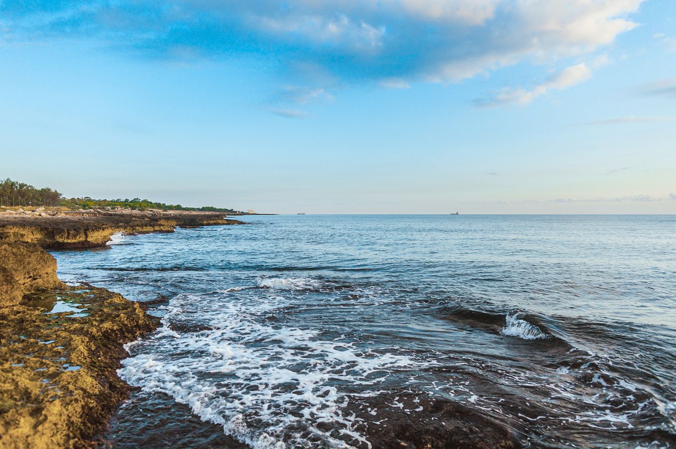 Torre Cintola Greenblu Sea Emotions