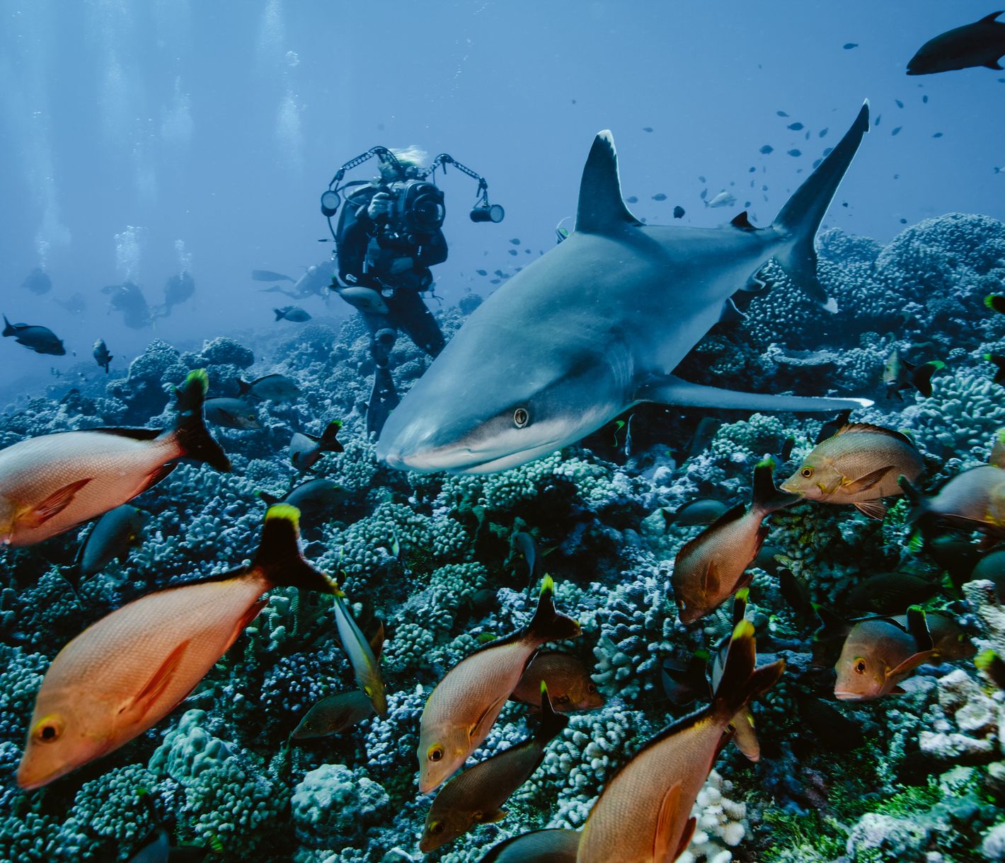 La passe d’Avatoru à Rangiroa