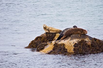 9. Bild der Rundreise