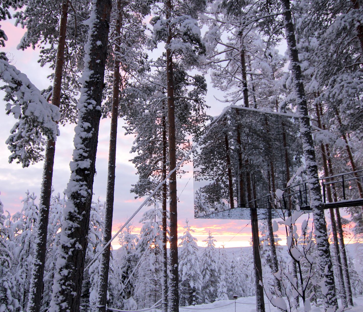 Wohnen in den verschneiten Baumwipfeln