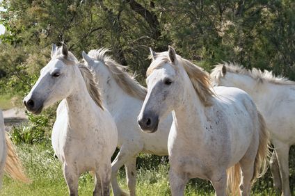 14. Bild der Unterkunft