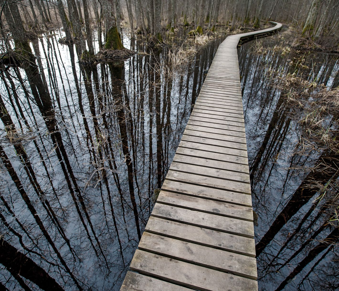 Sloka-See bei Jürmala