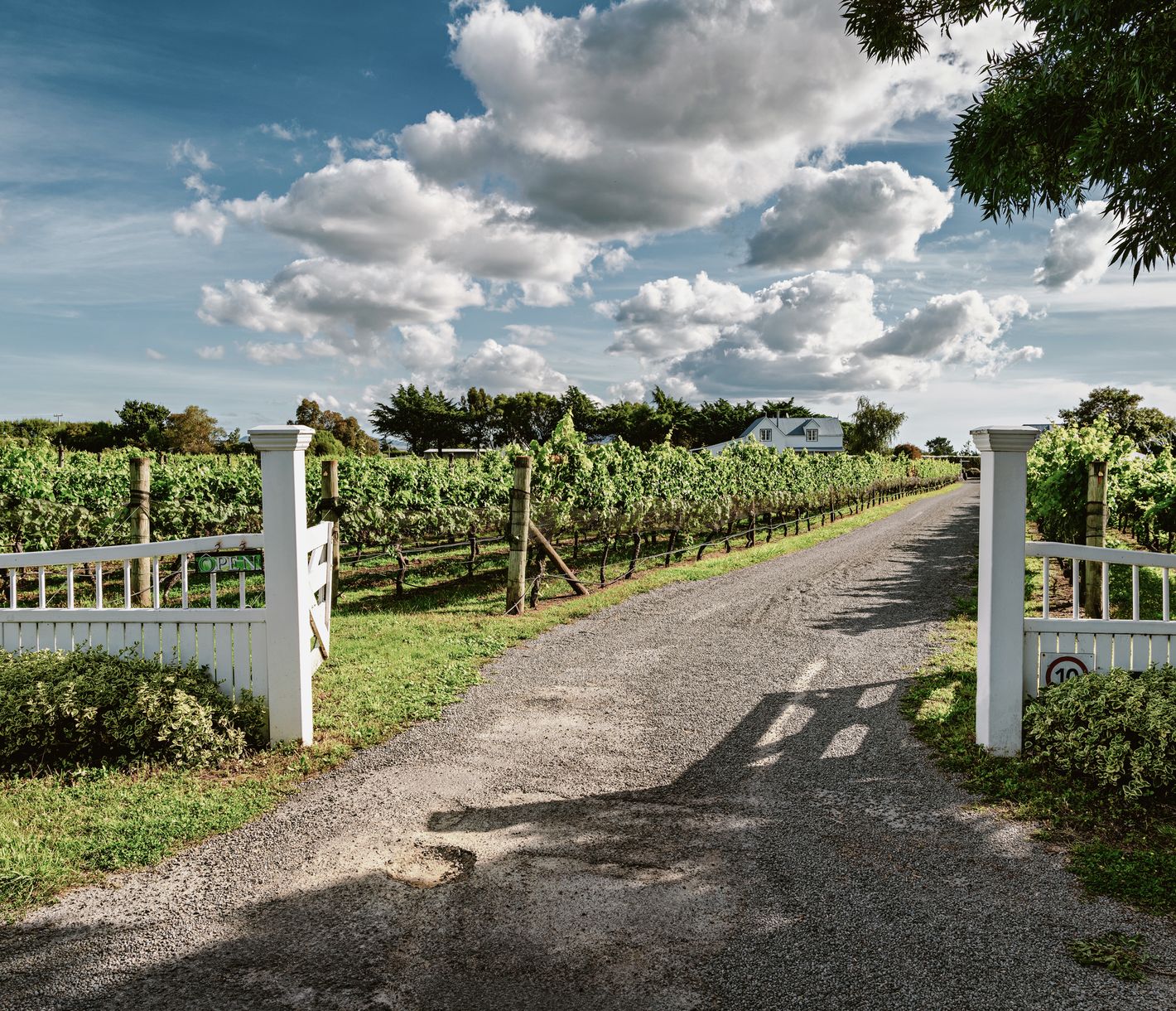 Marlborough-Weinregion