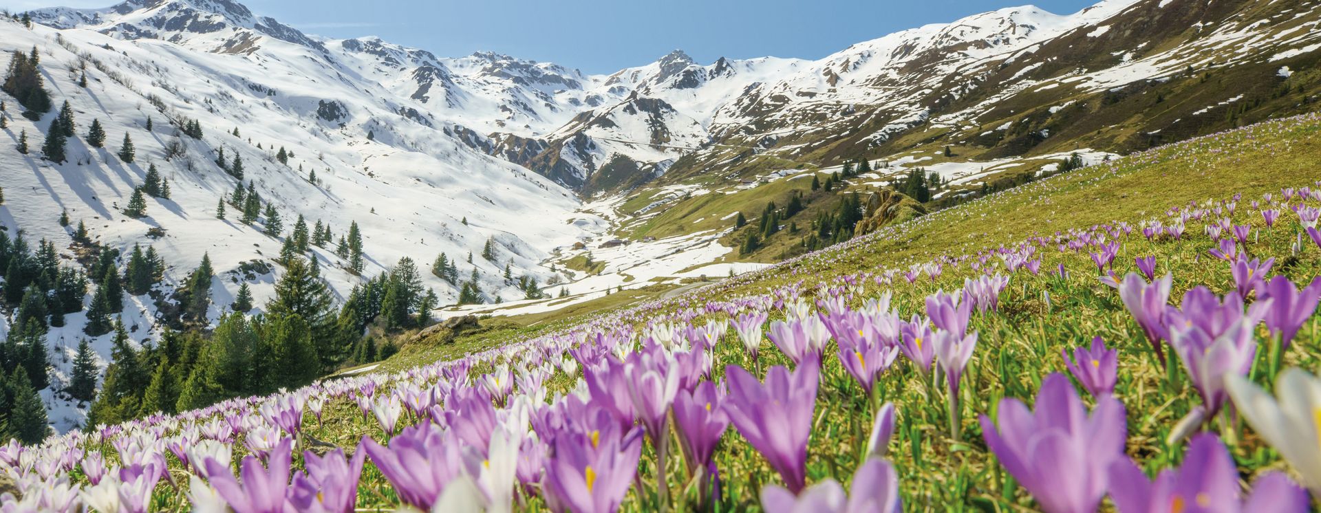 © Zillertaltourismus, Thomas Pfister