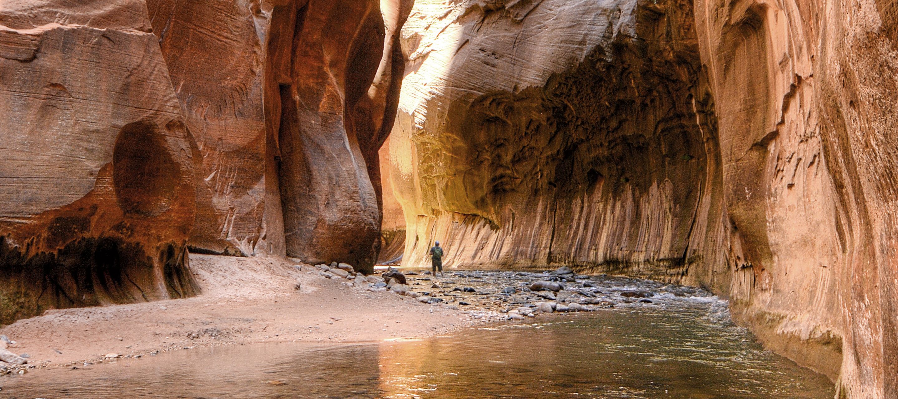 Der Zion National Park beeindruckt mit seinen roten Felsformationen, tiefen Schluchten und hängenden Gärten.