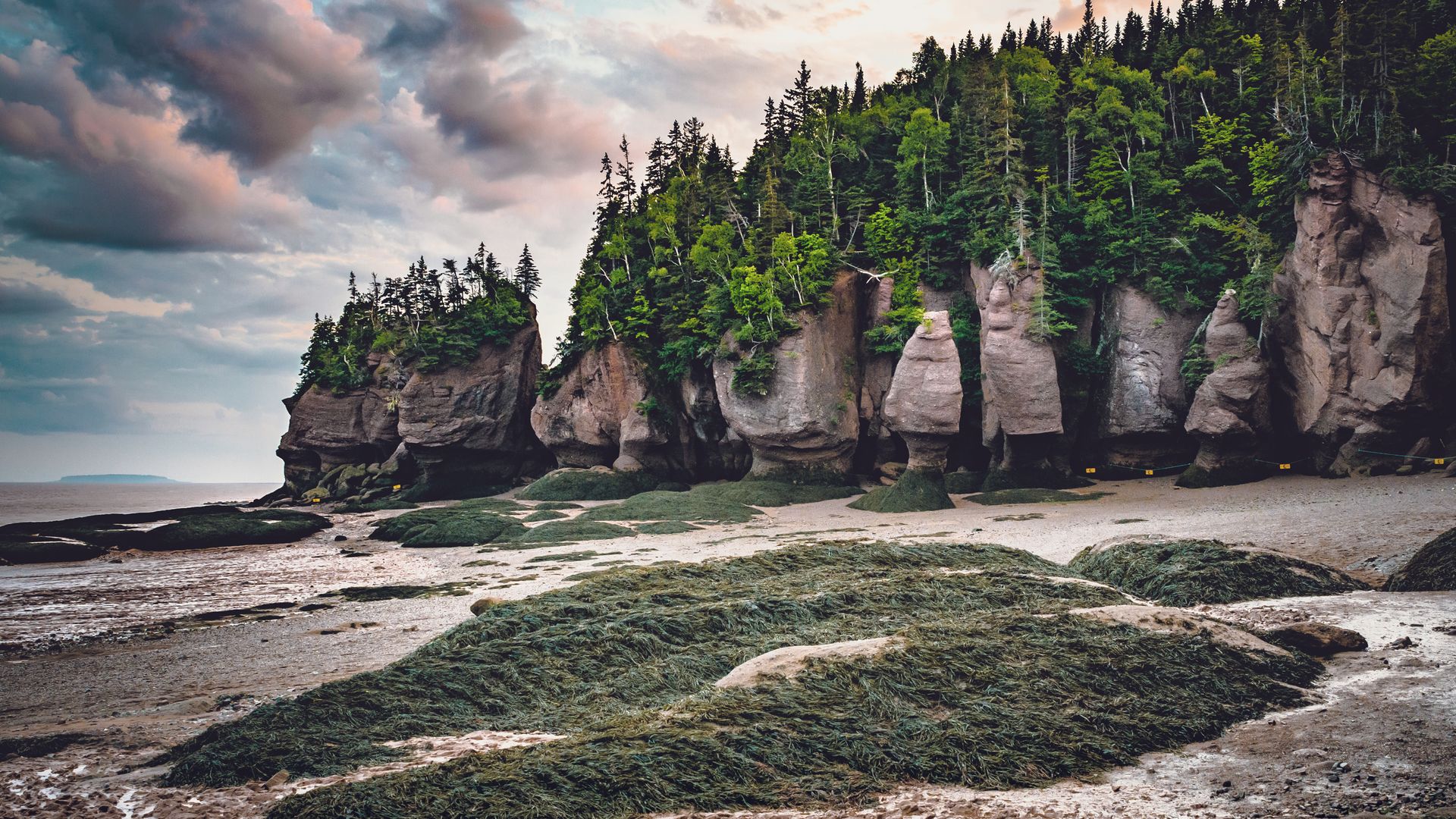 Die berühmten Hopewell Rocks