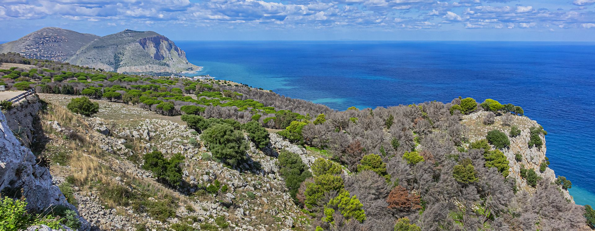 Aussicht vom Monte Pellegrino