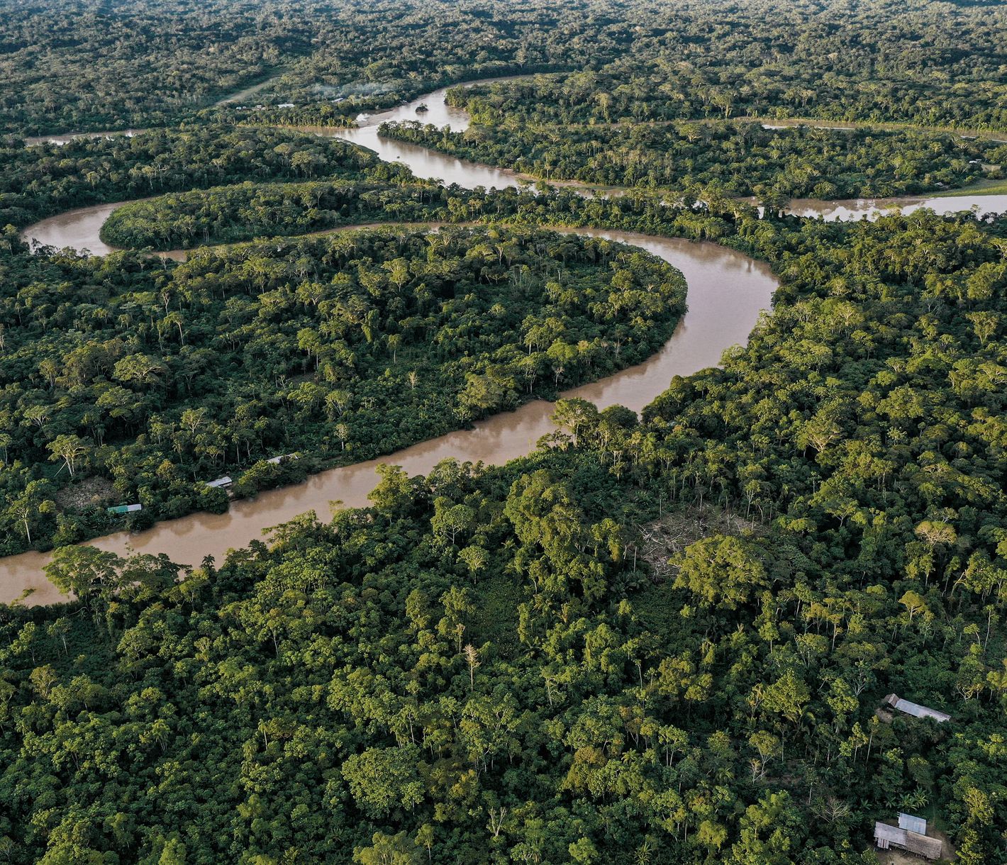 Im Dschungel angekommen
