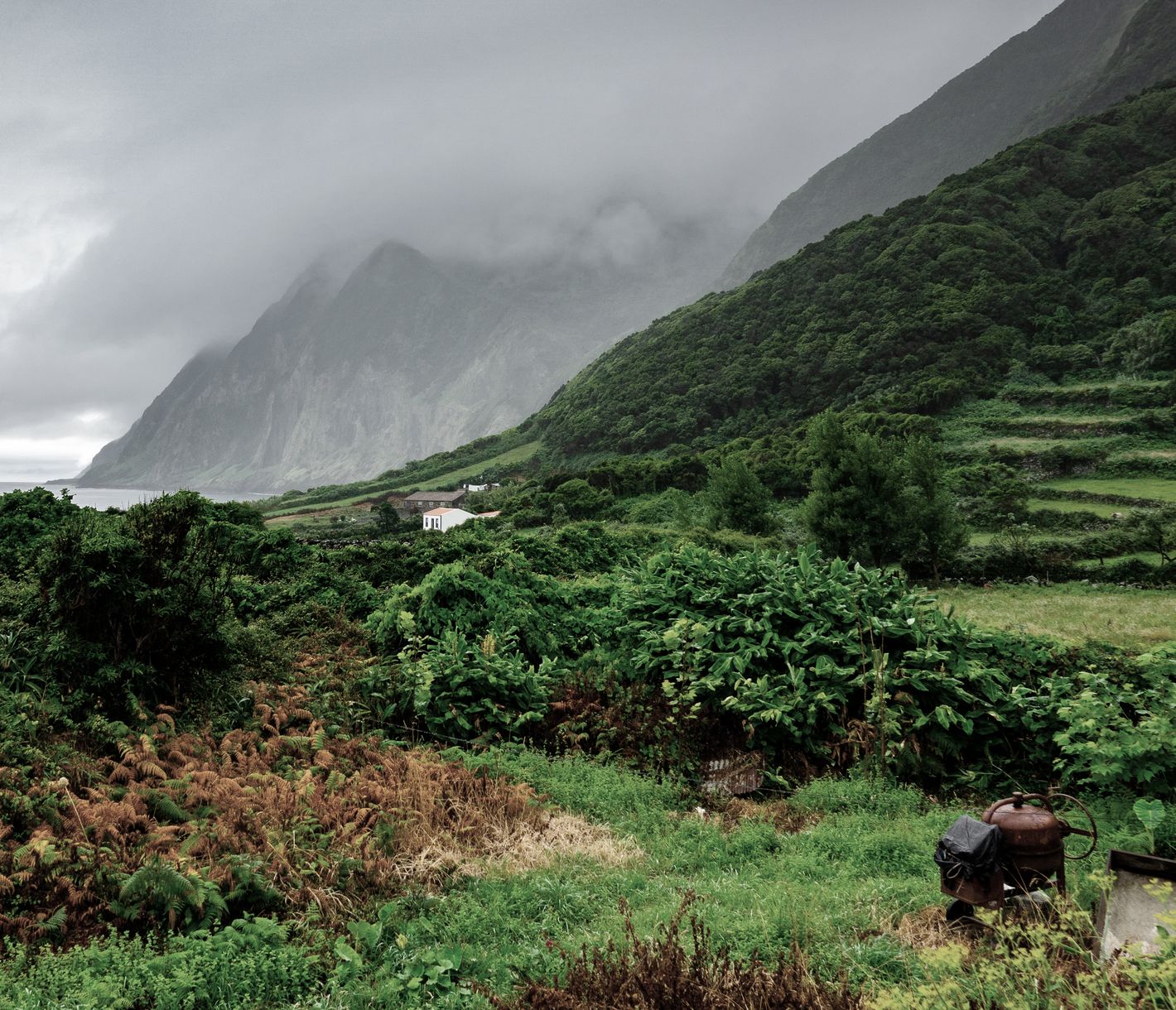 Steile Klippen auf São Jorge