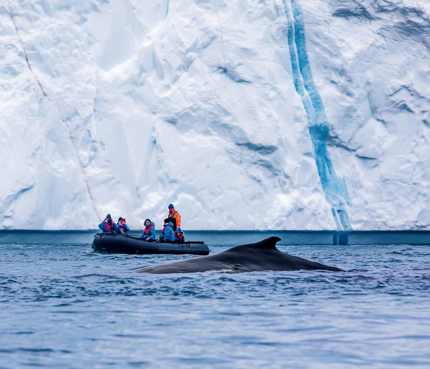 Zodiac-Tour bei den Südshettland-Inseln