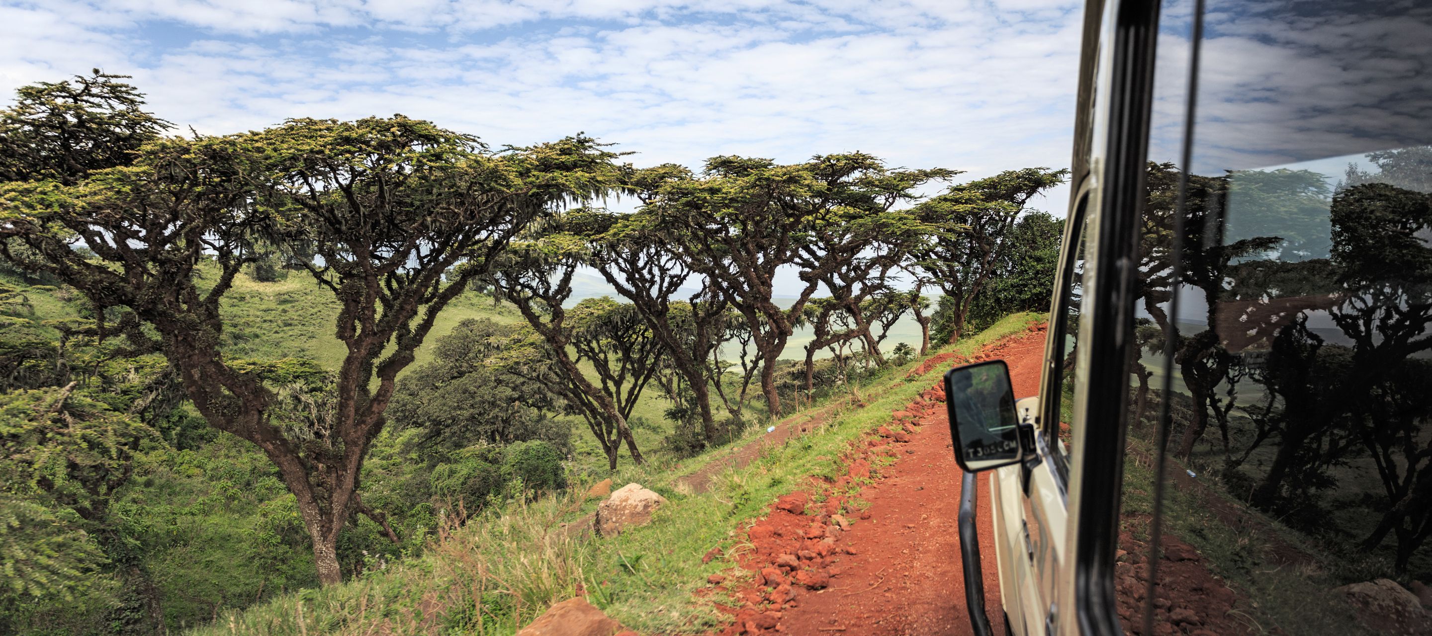 Mit dem Fahrzeug unterwegs zum Kraterboden des Ngorongoro