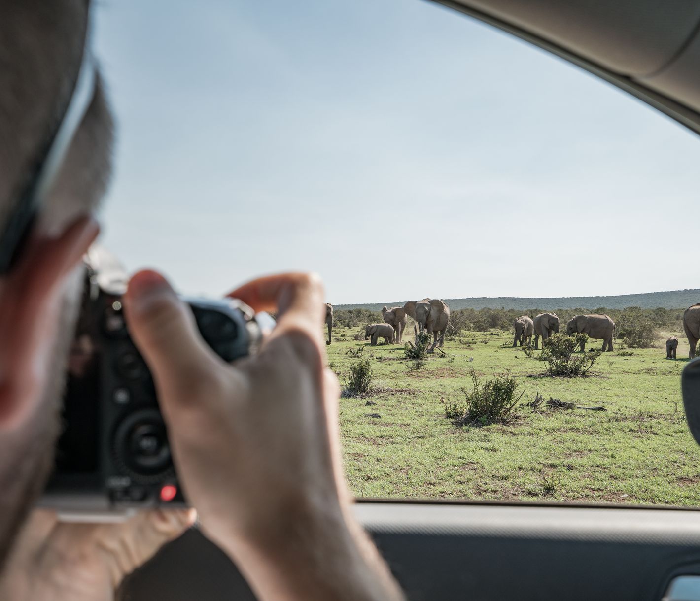 Elefanten sind im Addo-Elephant-Nationalpark in grossen Herden zu beobachten.