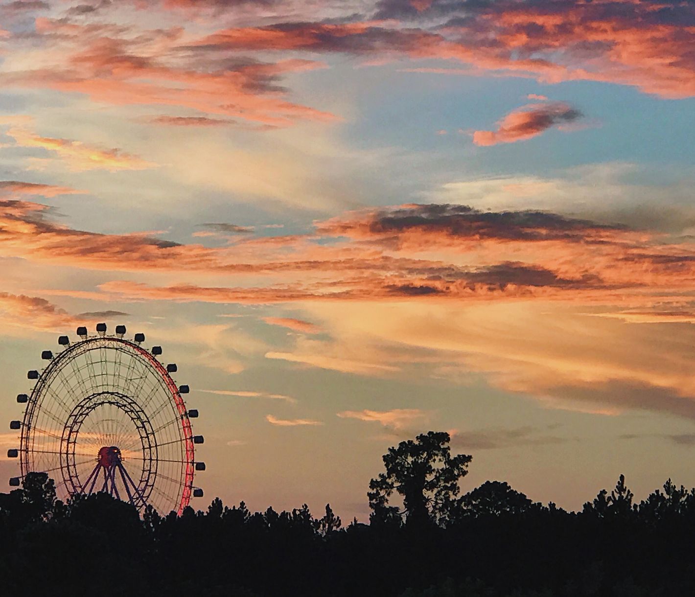 Orlando ist das perfekte Reiseziel für Freizeitparkfans.