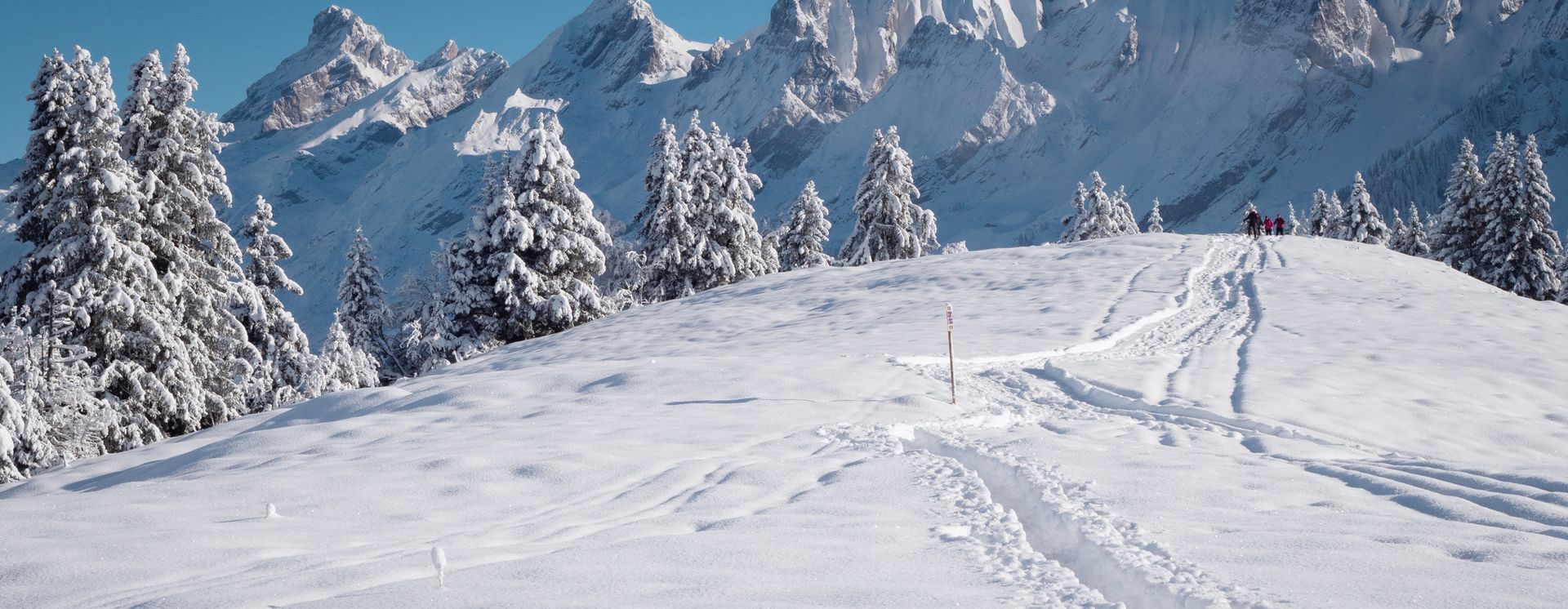 Beau paysage de neige