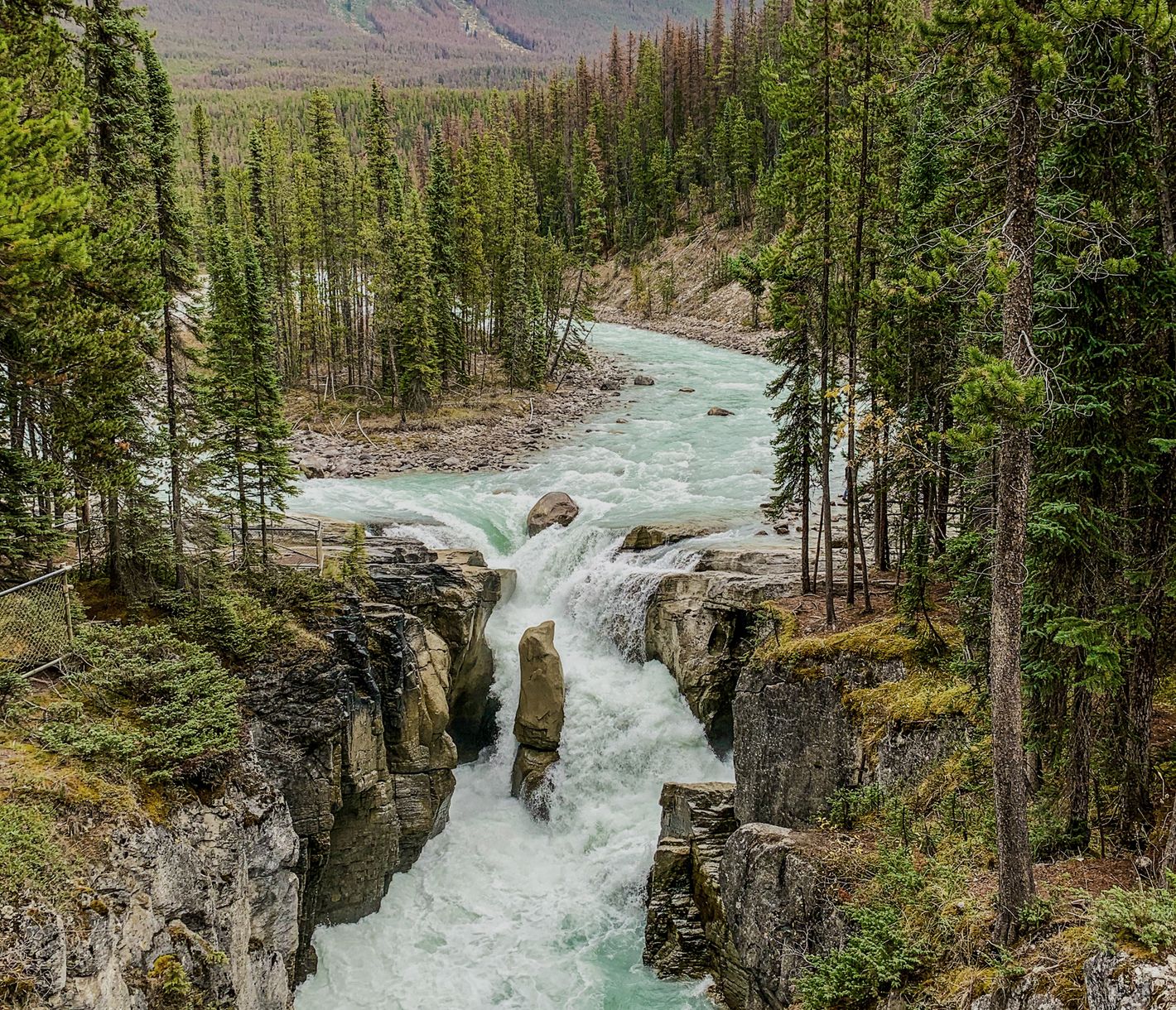 Sunwapta Falls