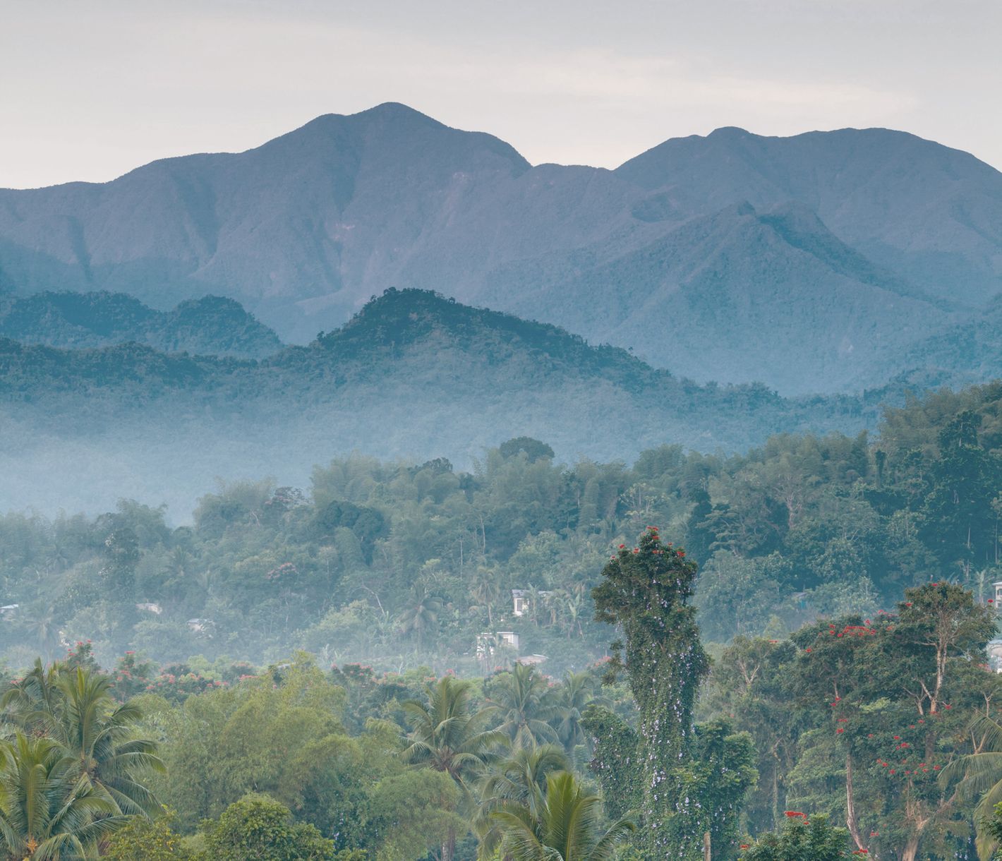 Jamaikas Blue Mountains sind nach ihrem blauen Morgendunstschleier benannt.