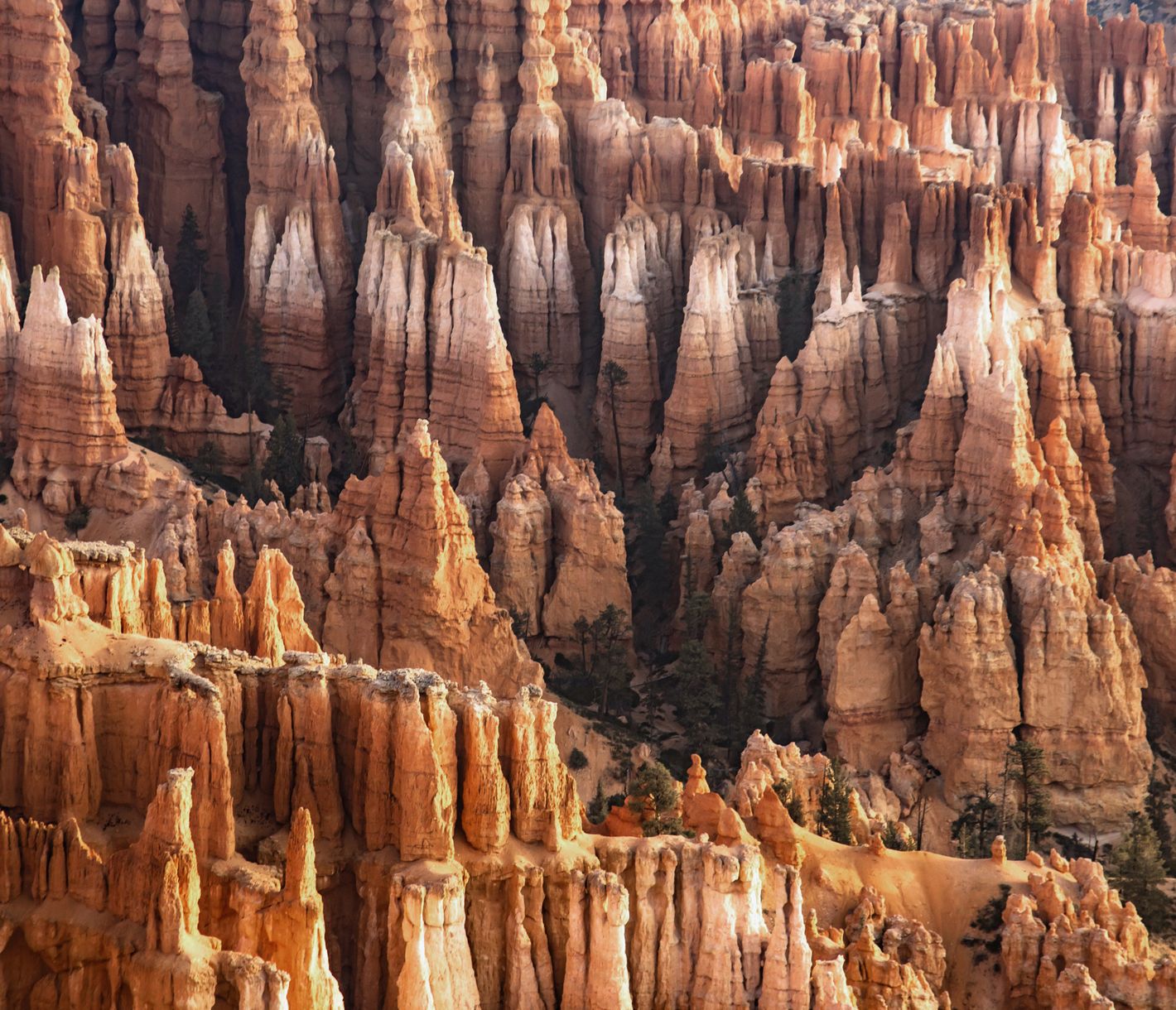 Der Bryce Canyon ist für seine schier endlose Ansammlung von skurrilen Kalksteintürmchen bekannt.