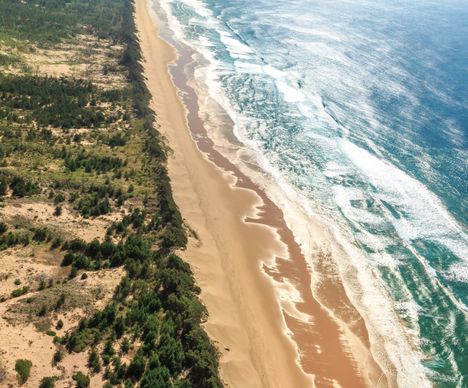 Entre dunes, bush et océan dans le Zoulouland