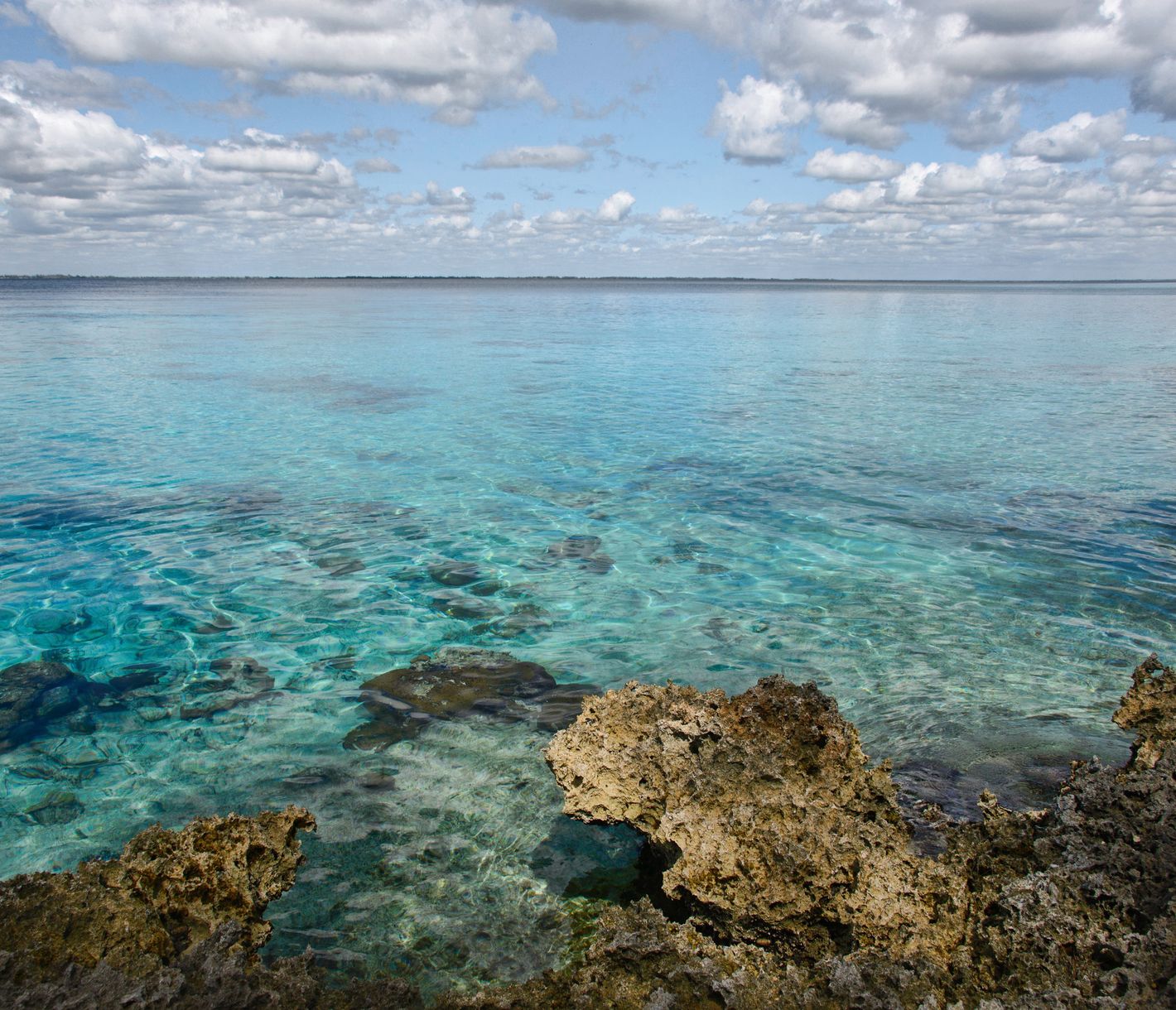 Escapade dans la mythique Baie des Cochons