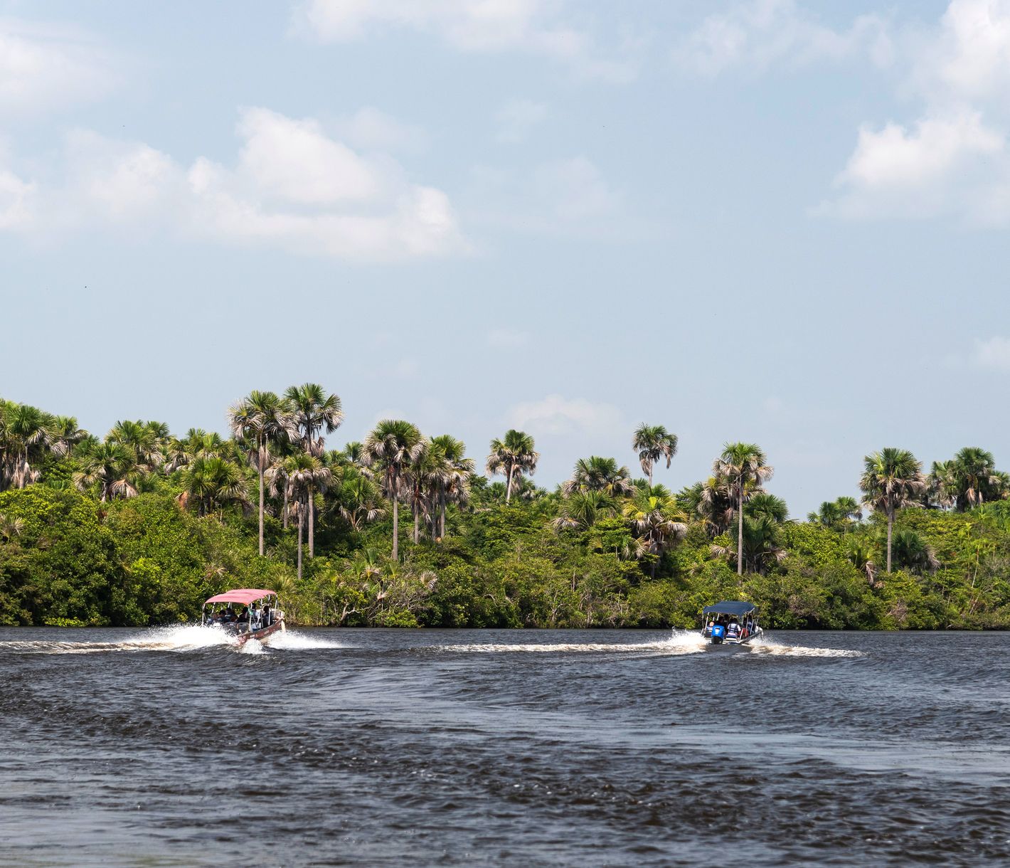 Bootsfahrt auf dem Preguiças-Fluss