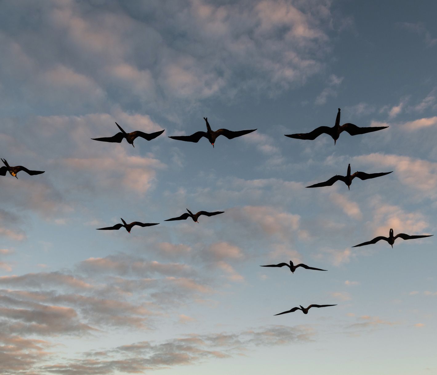 Natur- und Tierparadies