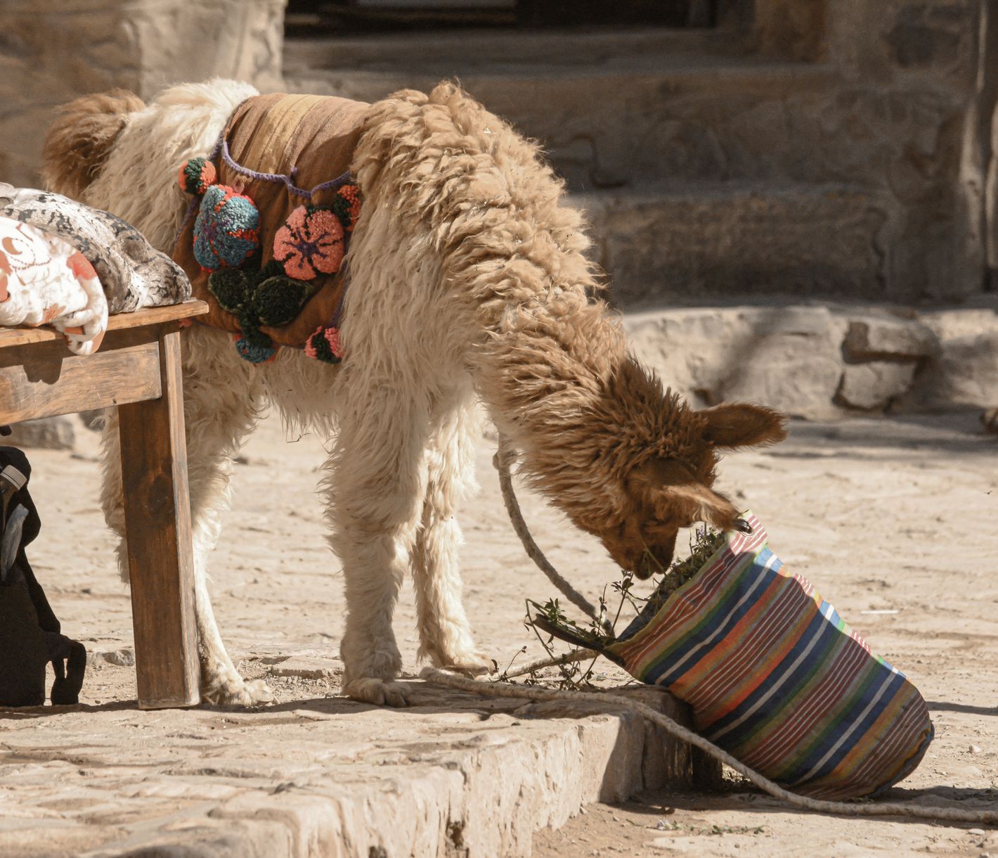 Gibt es hier etwas zu fressen?