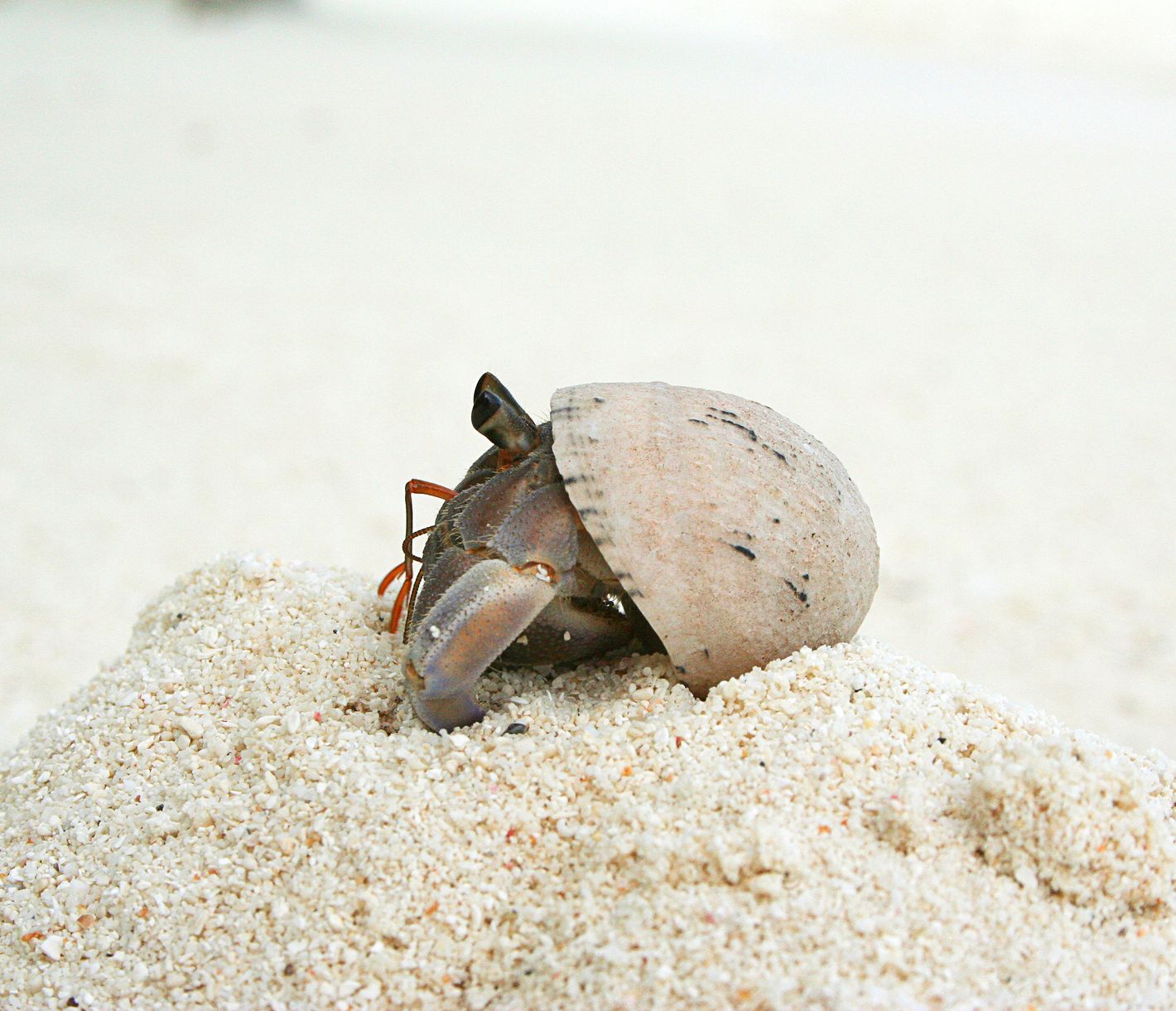 Kleine Welt, grosse Geschichten