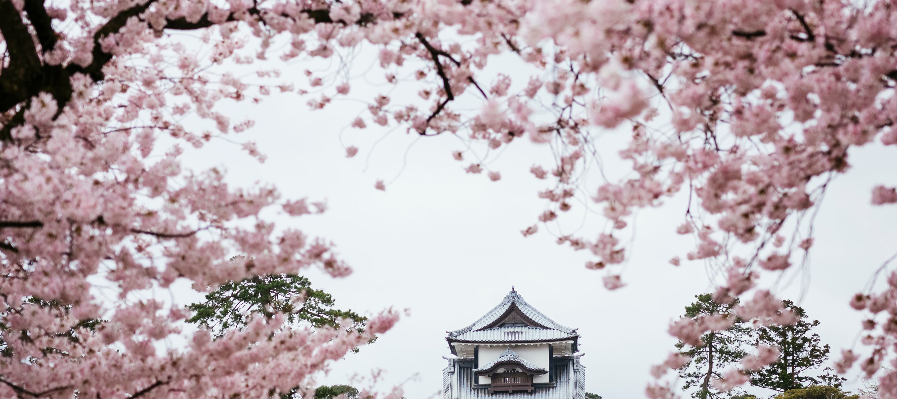 Die Burgen der Samurai