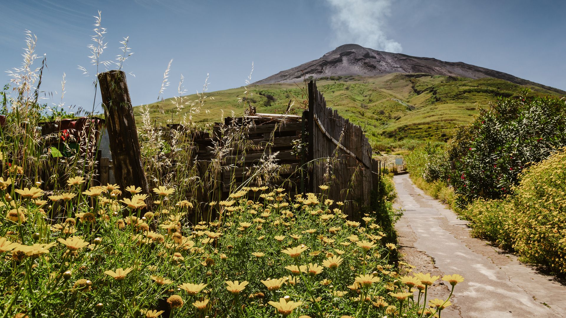 Die grüne Seite des Stromboli