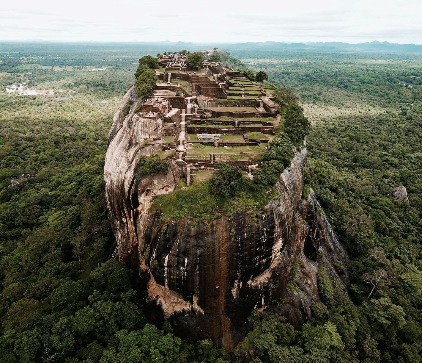 Der Lions Rock in Sigiriya - unvergesslicher Ausblick garantiert