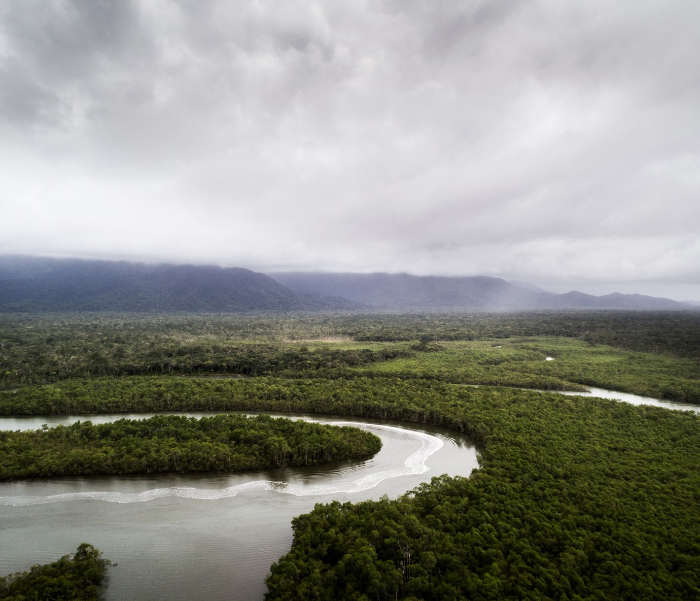 Amazonas, die Weltlunge