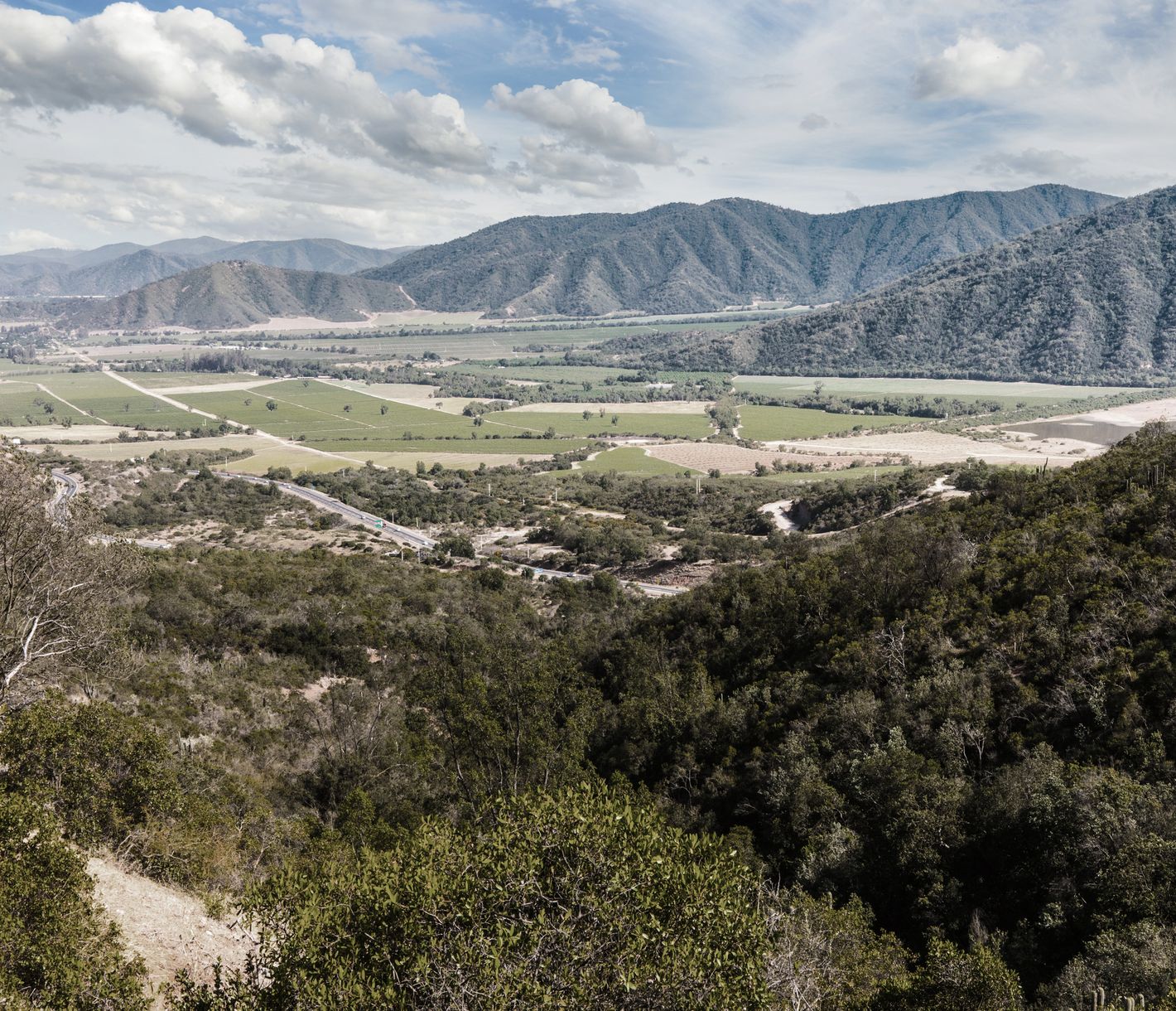 Weltberühmt für seinen Chardonnay und Sauvignon Blanc: Das Casablanca-Tal nahe Santiago de Chile